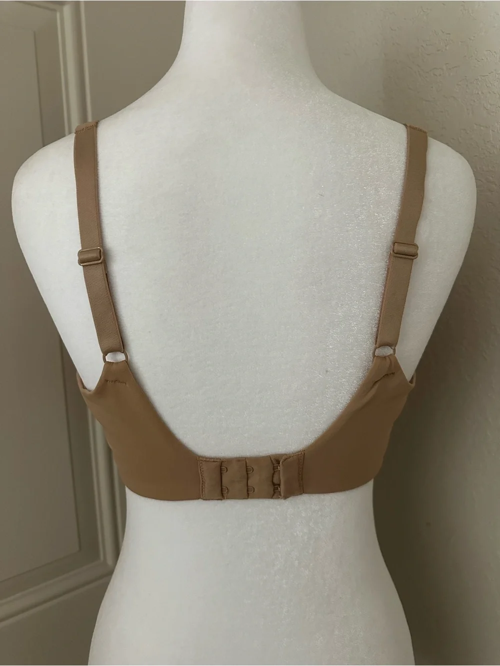 Ambrielle seamless molded